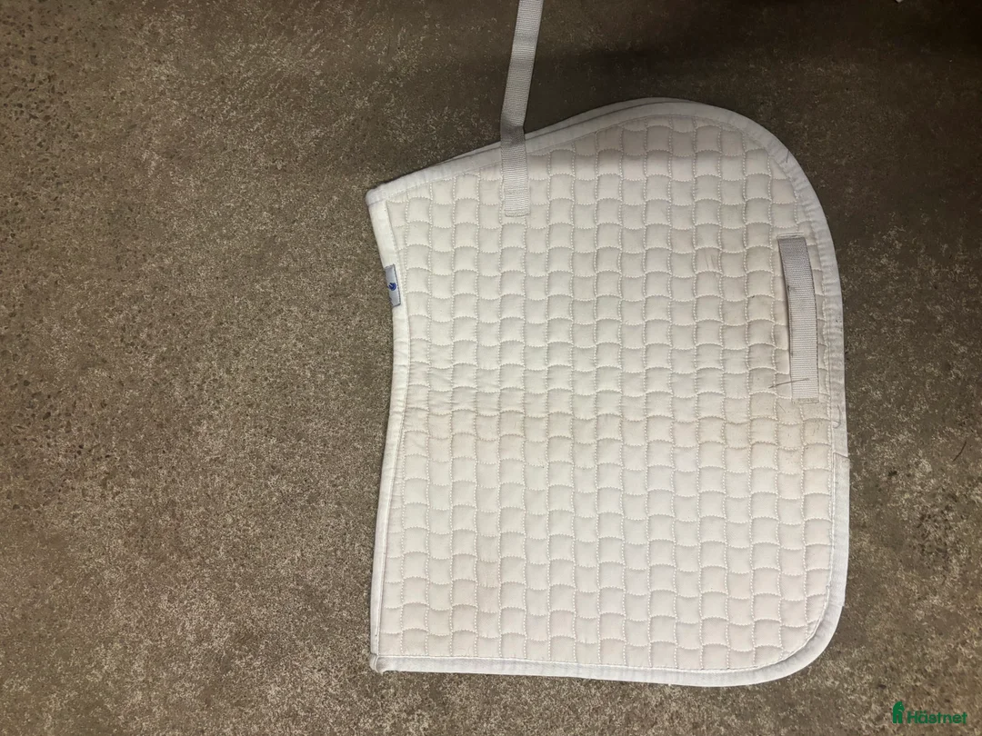 Schabrak & Vojlockar hästutrustning till salu: Schabrak  i Tomelilla - Annons 1