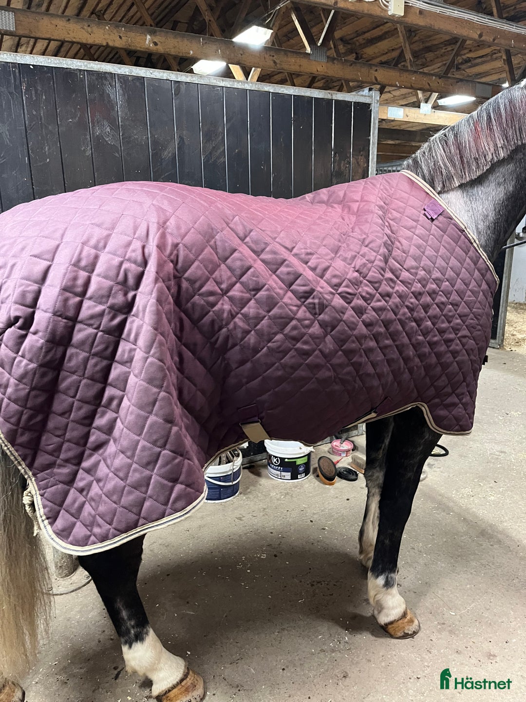 Täcken hästutrustning till salu: Nyskick horseware stalltäcke i Malmköping - Annons 5