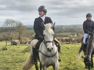 hästar Oversize Connemara geldings - Annons 18