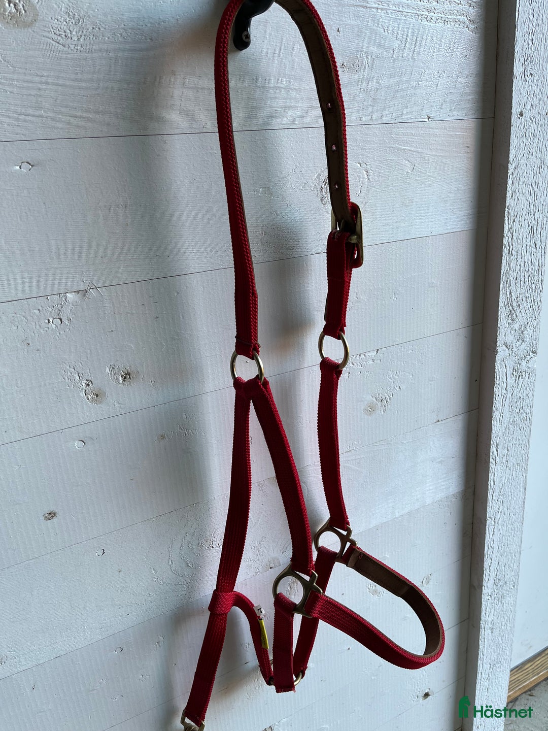 Övrig Travutrustning trav till salu: Lädergrimma, Röda svarta travsaker i Årsunda - Annons 1