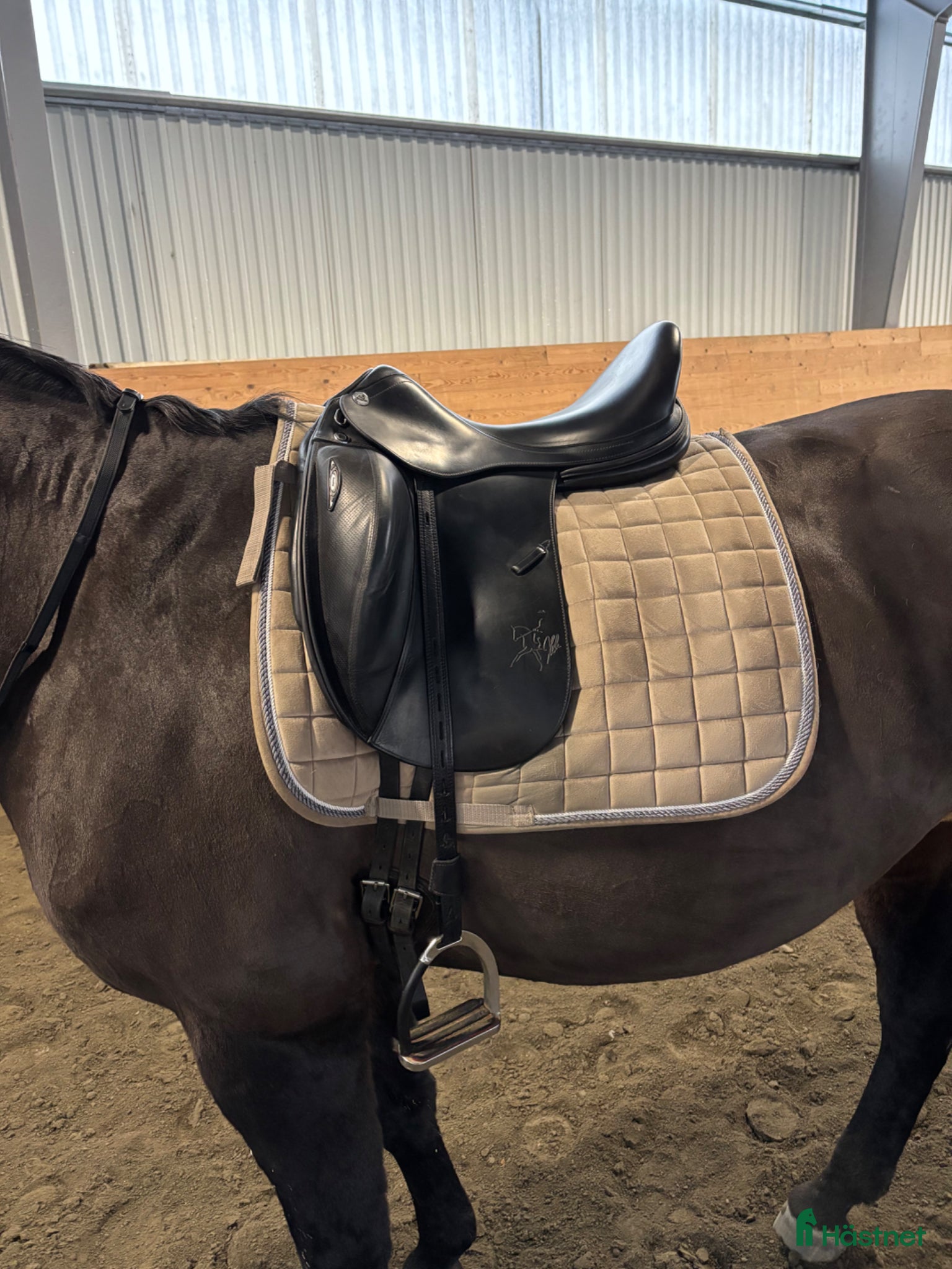 Sadlar hästutrustning Dressyrsadel - Annons 1