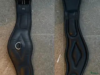 Sadeltillbehör hästutrustning Cheval dressyrgjord i Mjölby - Annons 2