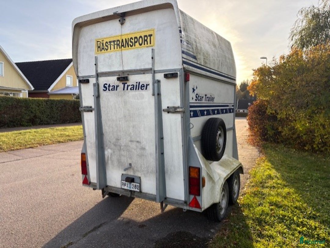 Hästtransporter  fordon & transport till salu: Star Trailer Safir - Hästtransport i Storvreta - Annons 6