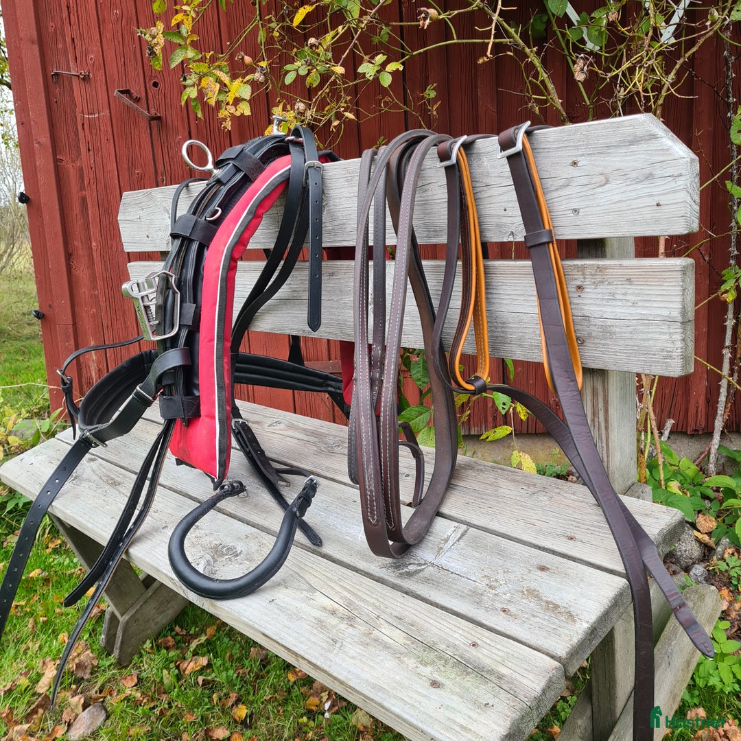 Körselar körning till salu: Travsele med QH fäste i Malmbäck - Annons 2