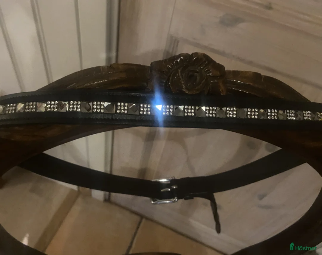 Övrigt Ridkläder ryttarutrustning till salu: Bälte med bling bling i Västerhaninge - Annons 1