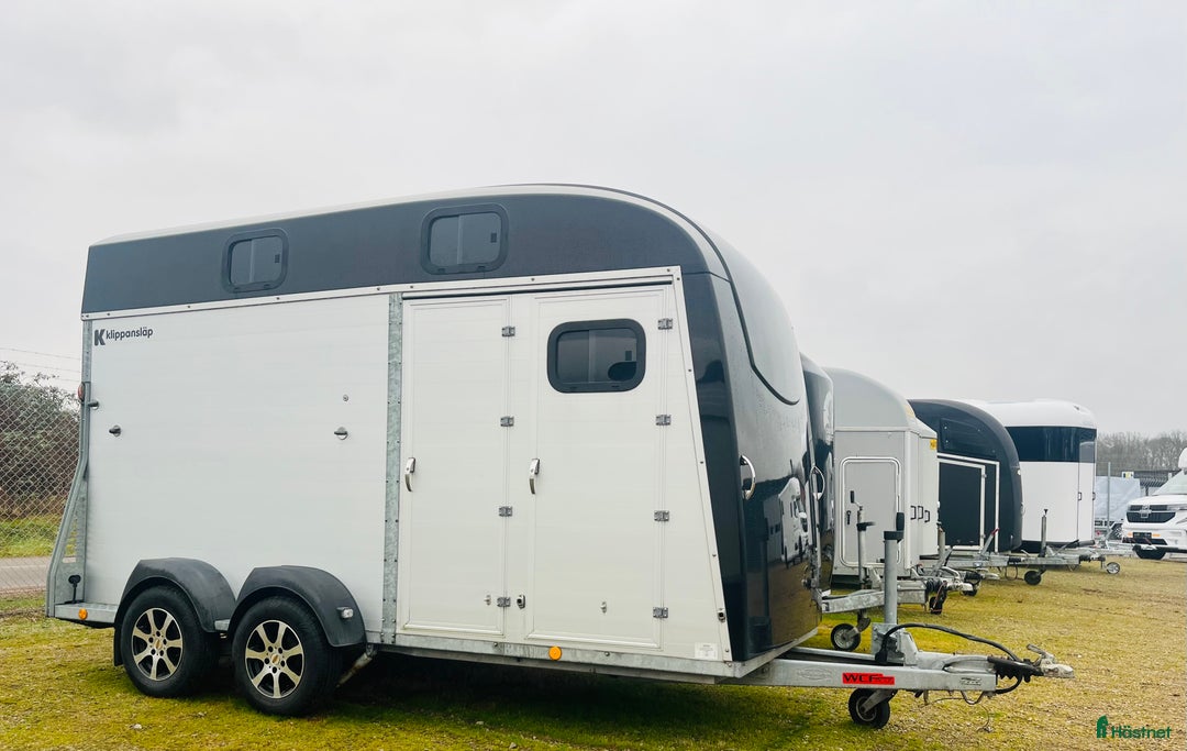Hästtransporter  fordon & transport till salu: Böckmann Big Portax i Klippan - Annons 1