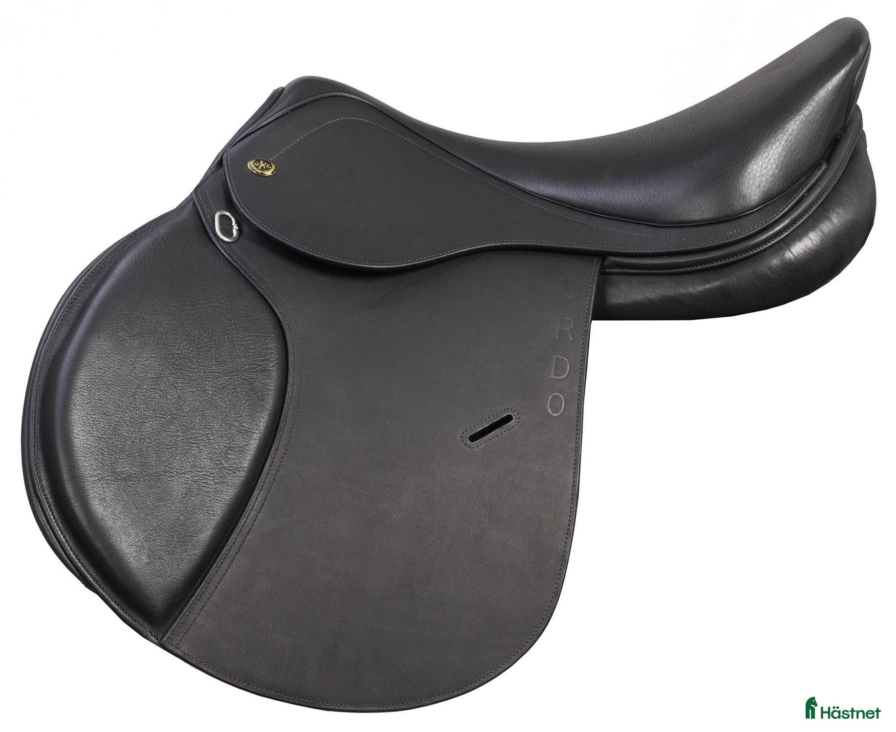 Sadlar hästutrustning Globus Ordo Victoria 16,5` i Klippan - Annons 9