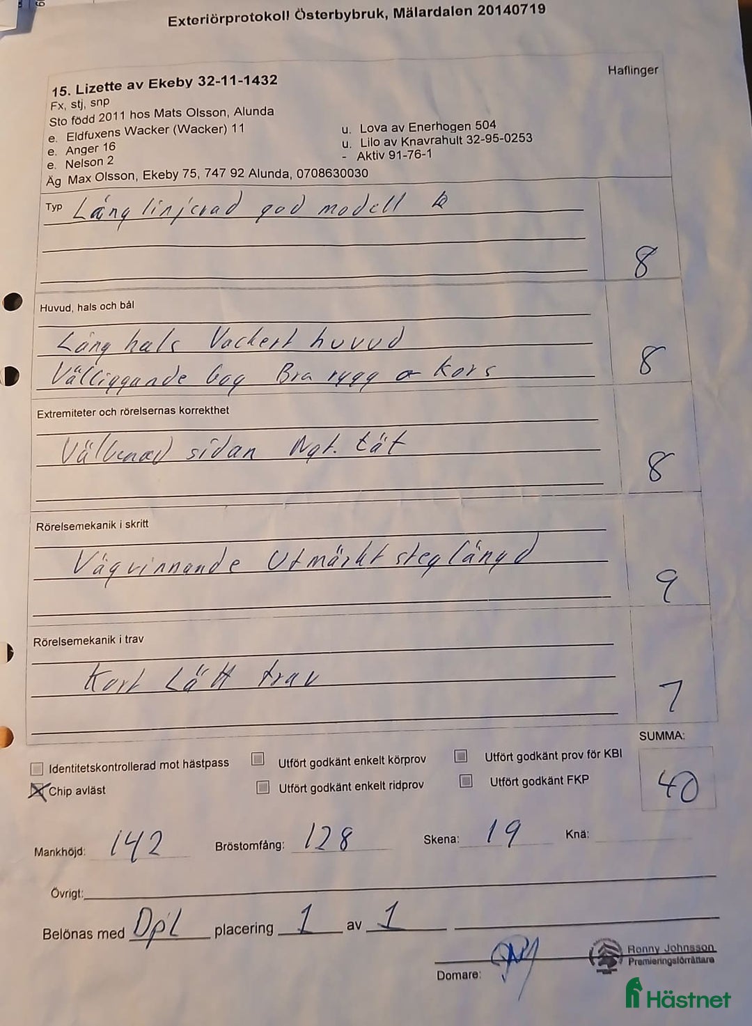 Avelshästar hästar till salu: Haflinger diplomsto i Alunda - Annons 4