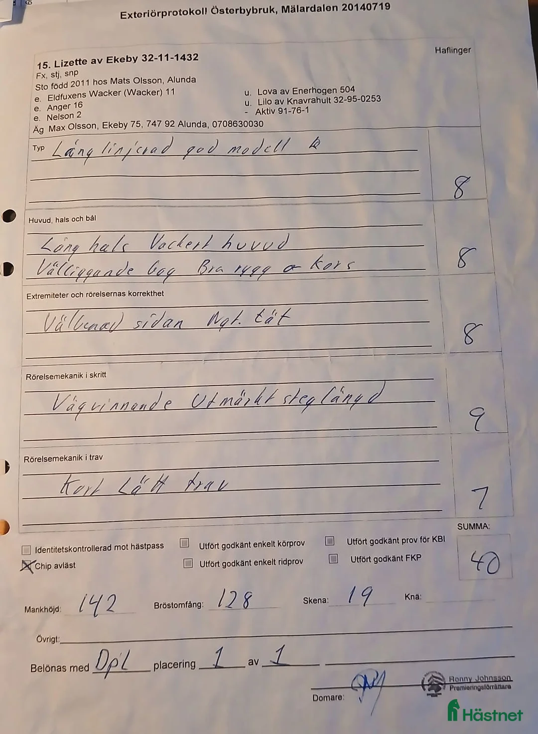 Avelshästar hästar till salu: Haflinger diplomsto - Annons 4