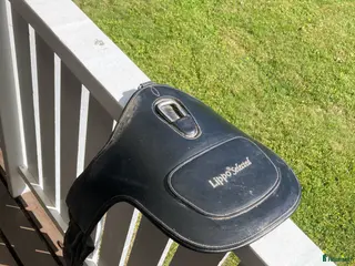 Sadeltillbehör hästutrustning Lippo magplatta i Stockholm - Annons 20