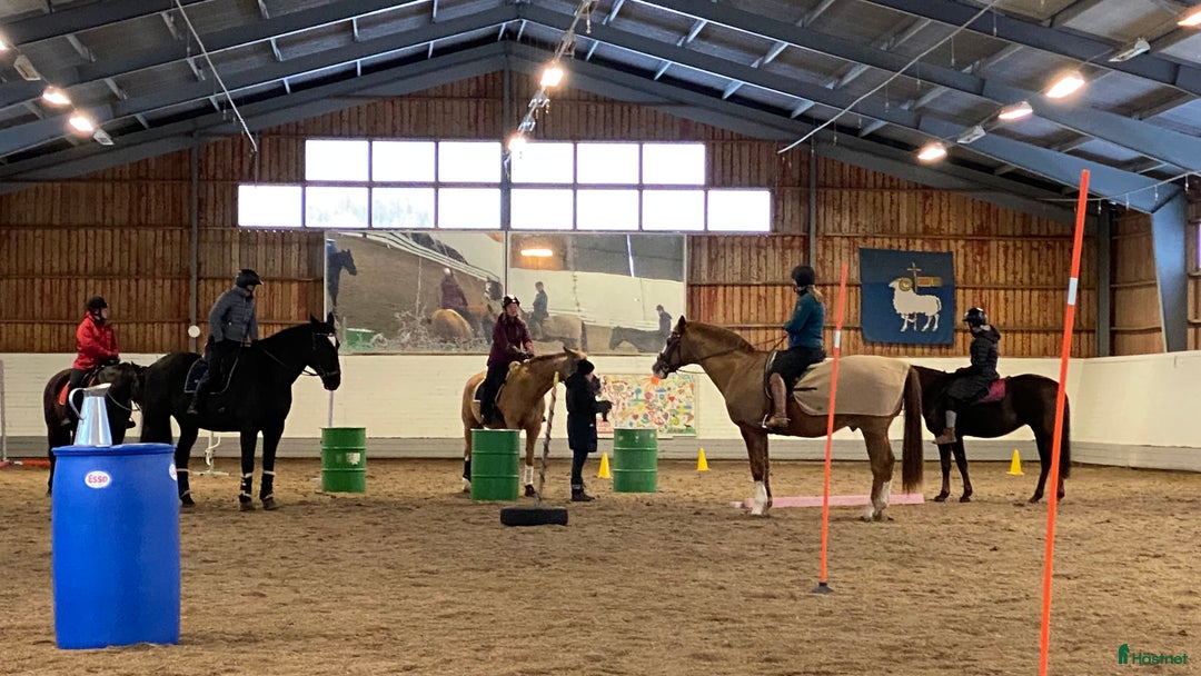  stallplats finnes: Behöver du stallplats på Ekerö?  i Skå - Annons 5