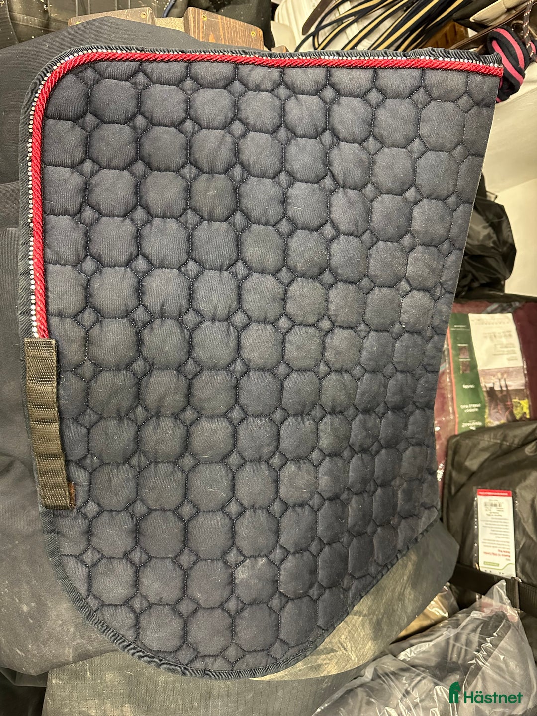 Schabrak & Vojlockar hästutrustning till salu: Equiline och Trolle schabrak säljes i Bollnäs - Annons 7