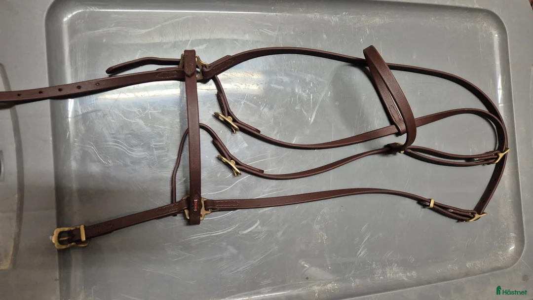 Träns hästutrustning till salu: Karlslund syntetiskt islandsträns i Veberöd - Annons 1