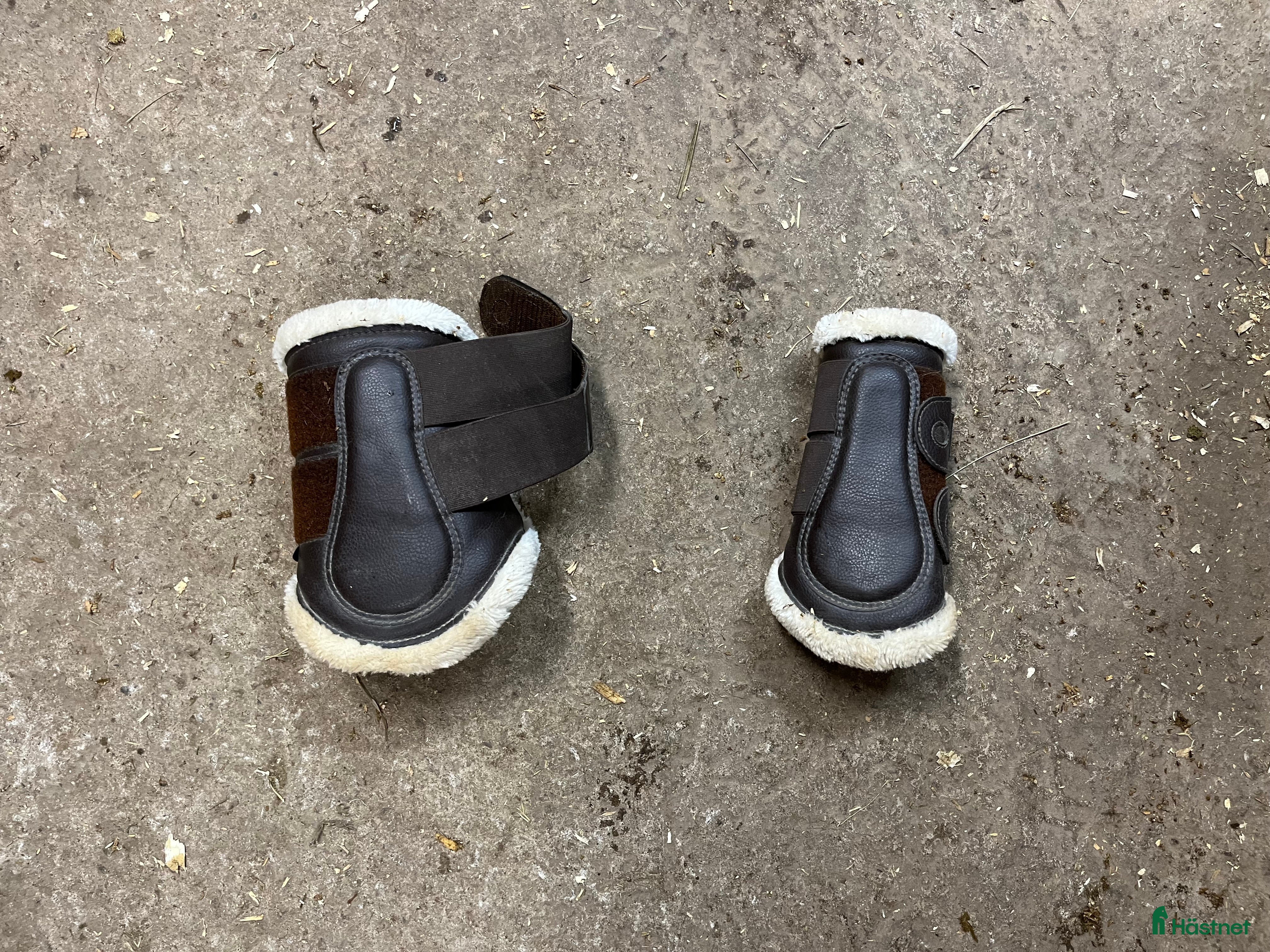 Benskydd hästutrustning Bruna damasker i Landsbro - Annons 11