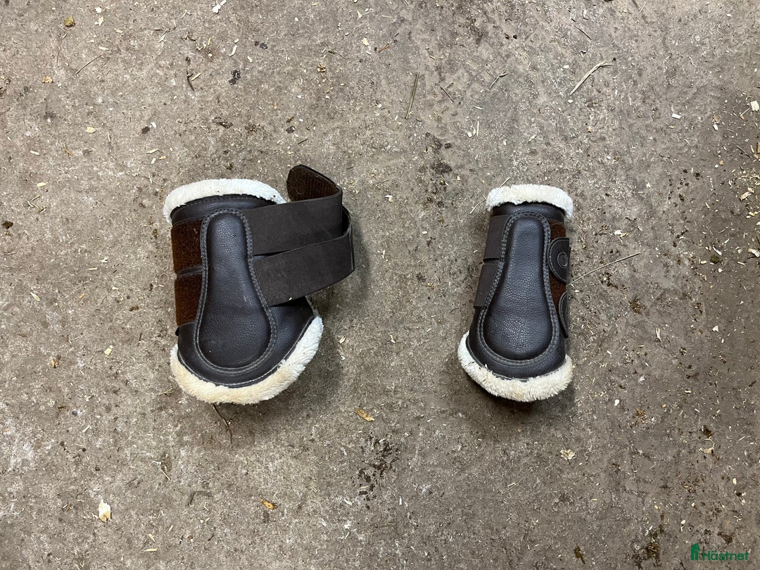 Benskydd hästutrustning till salu: Bruna damasker i Landsbro - Annons 1