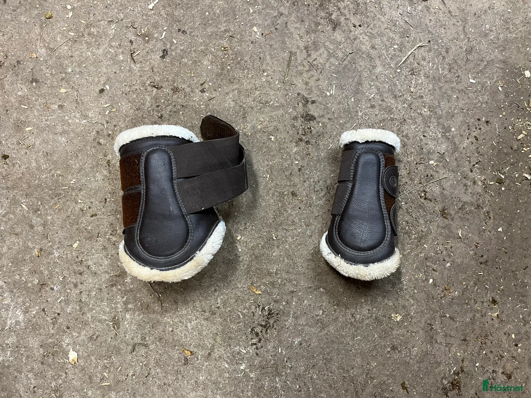 Benskydd hästutrustning till salu: Bruna damasker i Landsbro - Annons 1