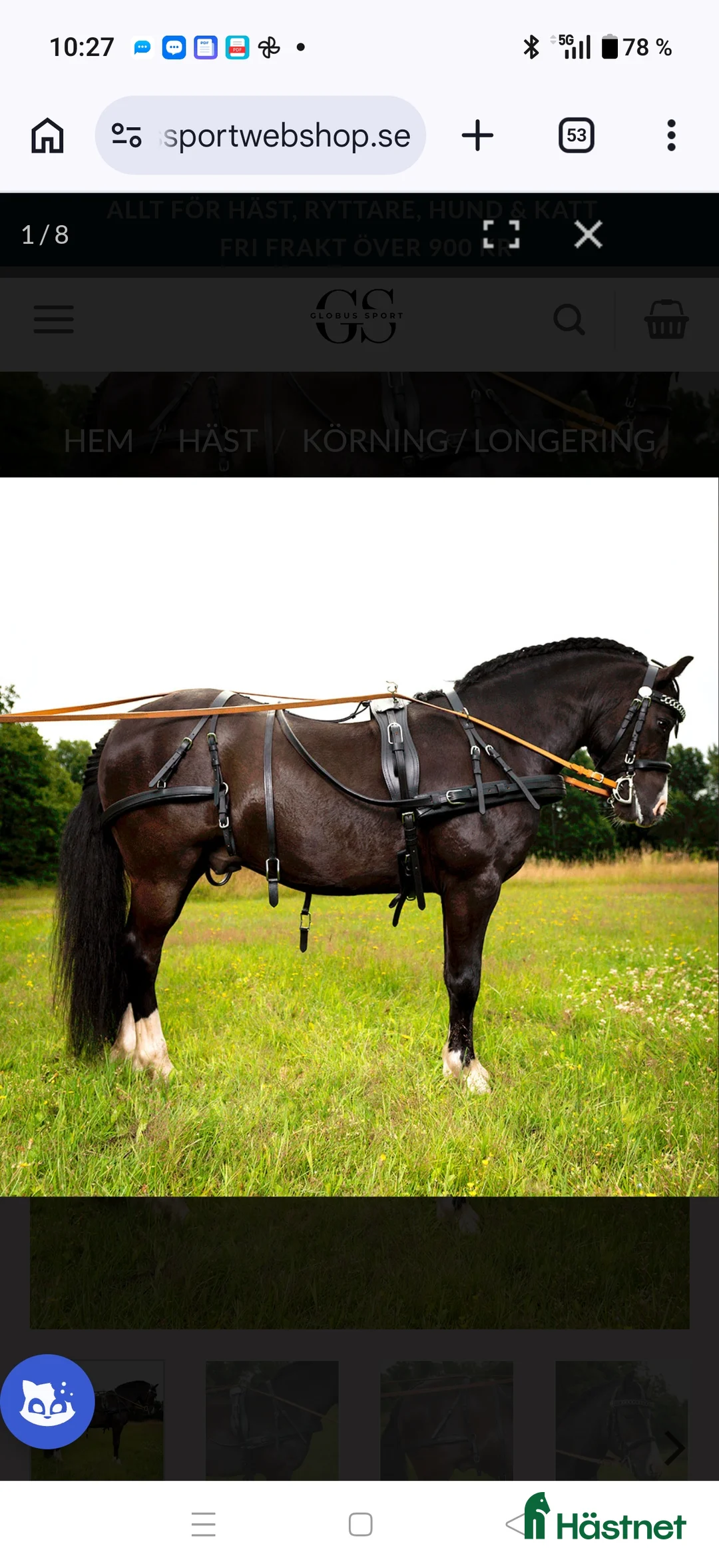 Körselar körning till salu: BRÖSTSELE ”Globus Drago” Läder i Sunne - Annons 1