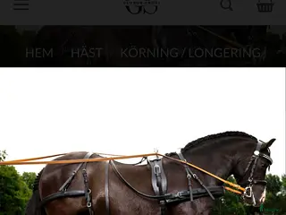 Körselar körning till salu: BRÖSTSELE ”Globus Drago” Läder i Sunne - Annons 3