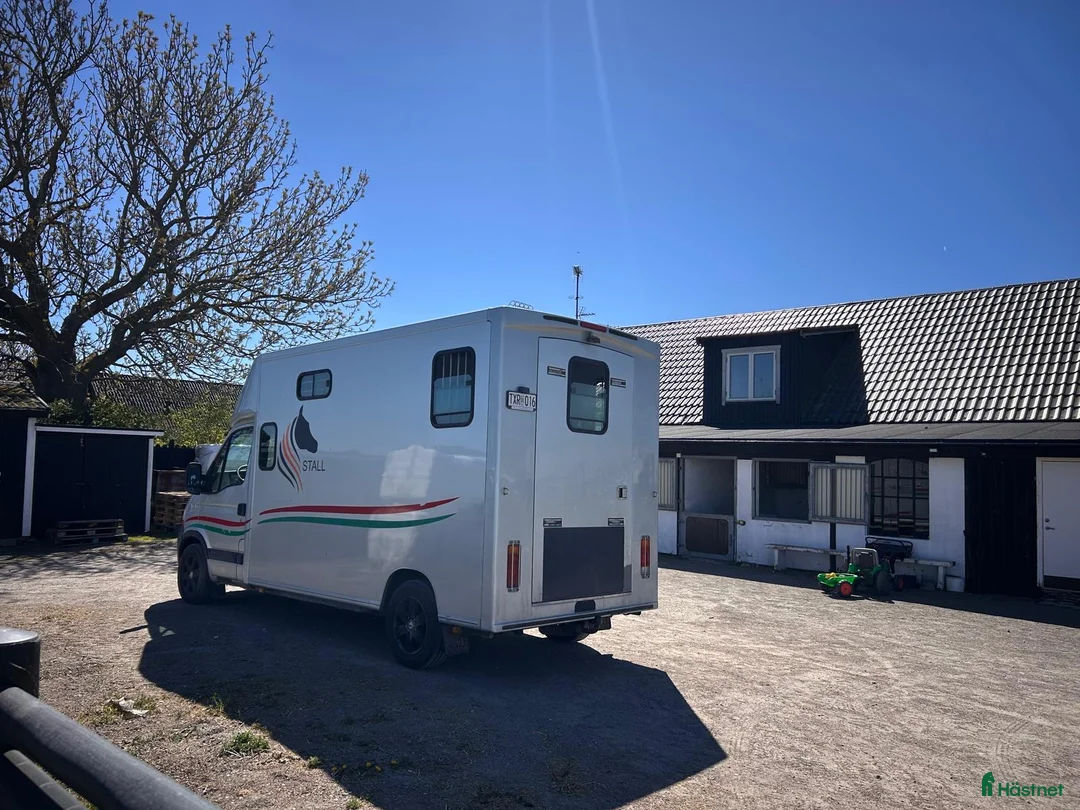 Hästlastbilar  fordon & transport till salu: Renault Master Theault B-körkort hästlastbil - Annons 2