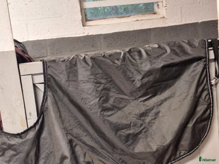 Täcken hästutrustning till salu i Sturkö - Annons 4