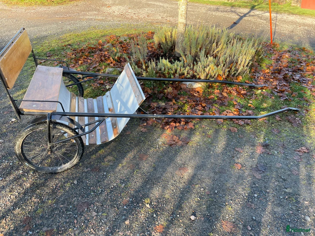 Körsulkys körning till salu: Rockard till B ponny i Bankeryd - Annons 2