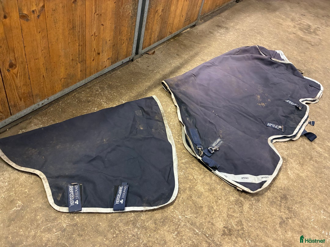 Täcken hästutrustning till salu: Amigo 50g täcke  i Mölndal - Annons 1