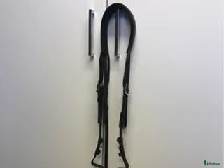 Träns hästutrustning till salu: Antarès nackstycke i Ödsmål - Annons 1