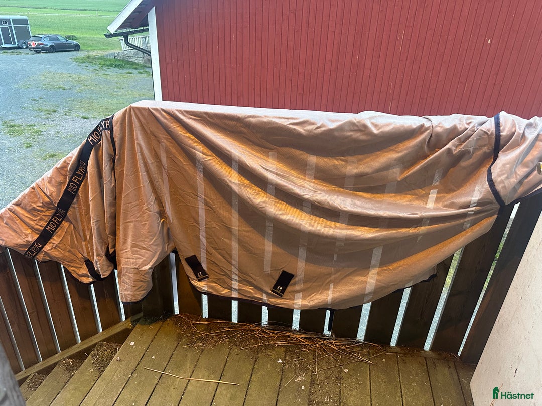 Täcken hästutrustning till salu: Säljer billiga flugtäcken! i Forserum - Annons 3