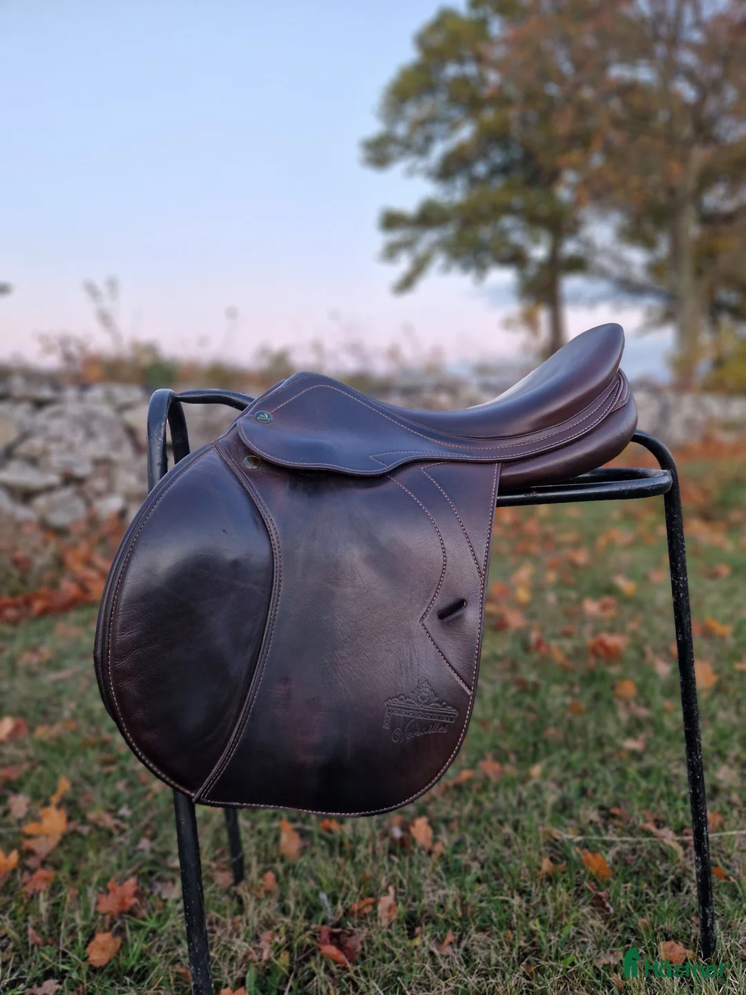 Sadlar hästutrustning till salu: Prestige Versaille i Kalmar - Annons 2