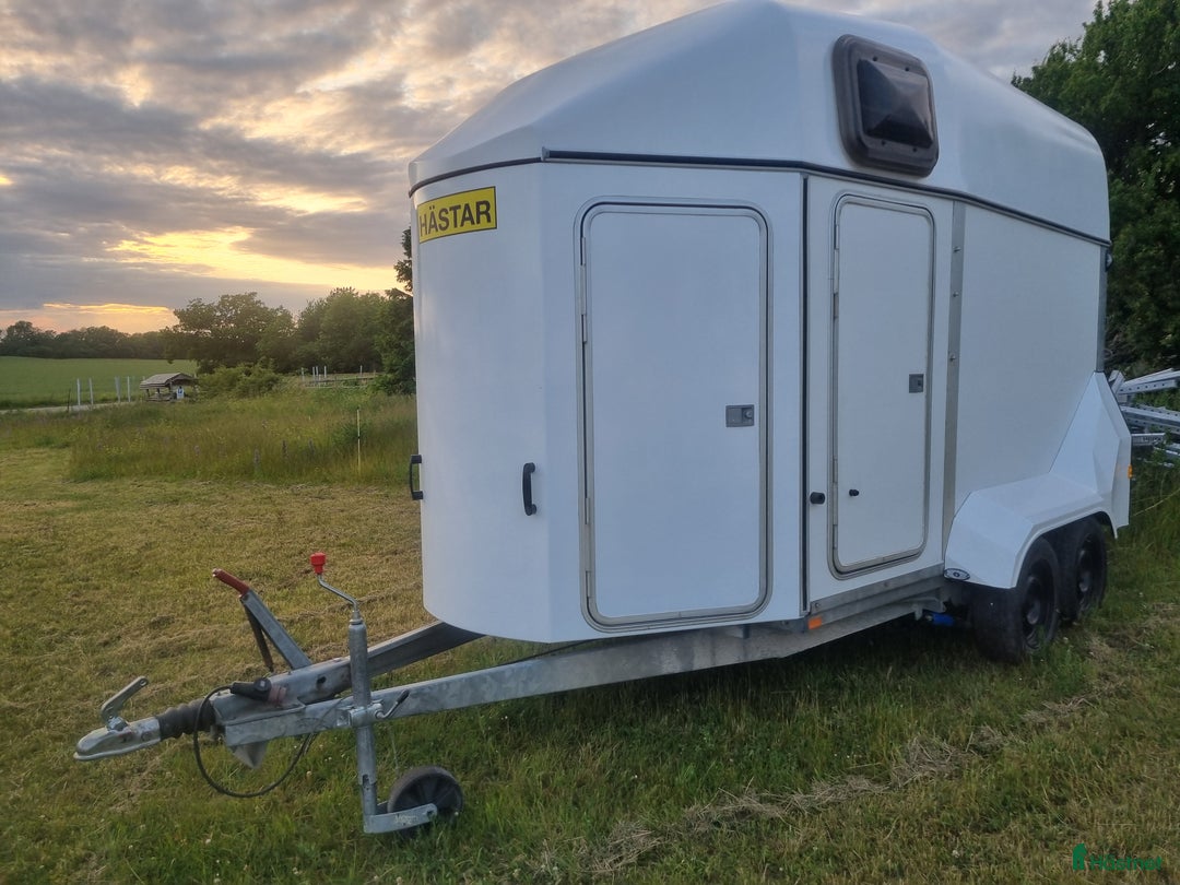 Hästtransporter  fordon & transport till salu: Ringostar nyrenoverad i Romakloster - Annons 1