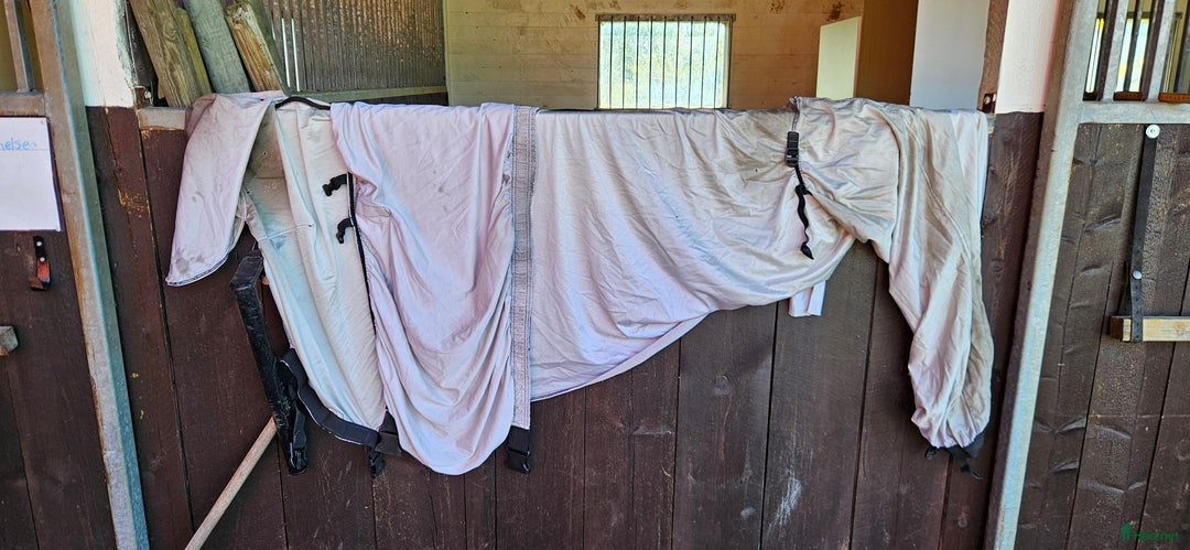 Övrig Hästutrustning hästutrustning till salu: Massa ponny saker i Vingåker - Annons 16