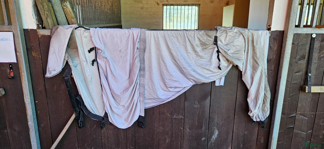 Övrig Hästutrustning hästutrustning till salu: Massa ponny saker i Vingåker - Annons 16