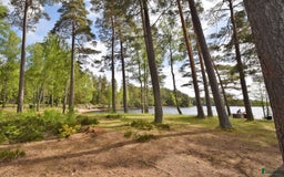  hästgårdar till salu: Genuin skogsgård i Ljungby - Bild 18