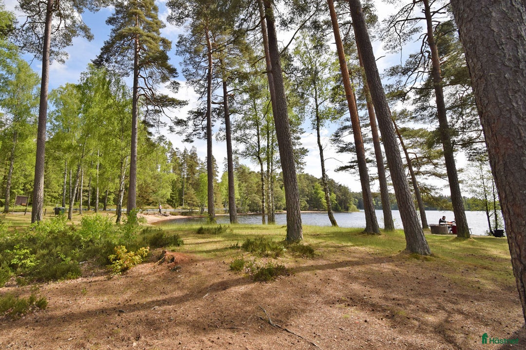  hästgårdar till salu: Genuin skogsgård i Ljungby - Bild 18