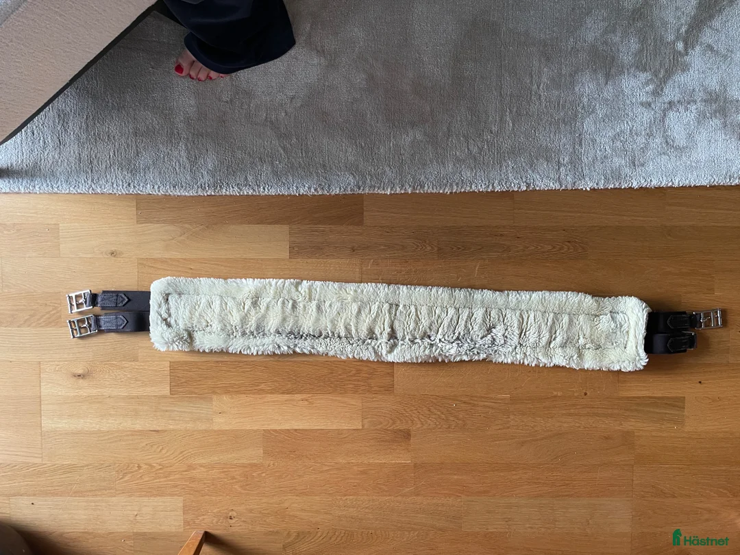 Sadeltillbehör hästutrustning till salu: Brun sadelgjord 125 cm Kentucky  - Annons 3