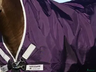 Täcken hästutrustning till salu: Fint vintertäcke Rambo i Osby - Annons 2