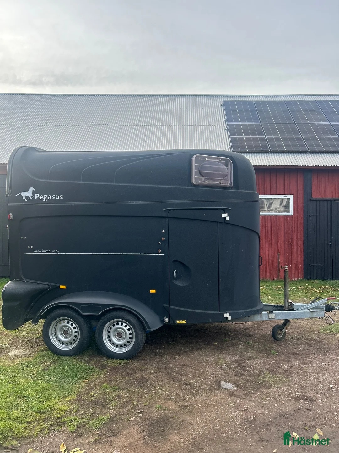 Hästtransporter  fordon & transport till salu: Humbaur Pegasus  - Annons 2