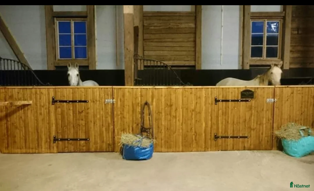  stallplats finnes: Stallplats med mycket service i Söderköping - Annons 5