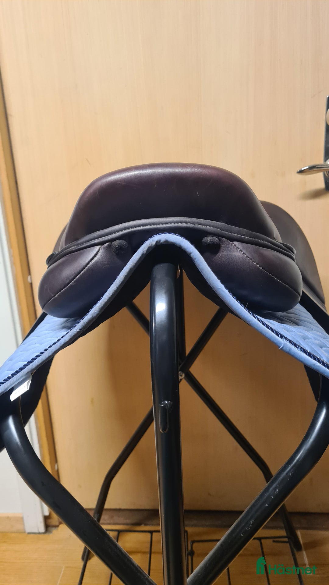 Sadlar hästutrustning till salu: Santa Cruz Celine - Annons 5