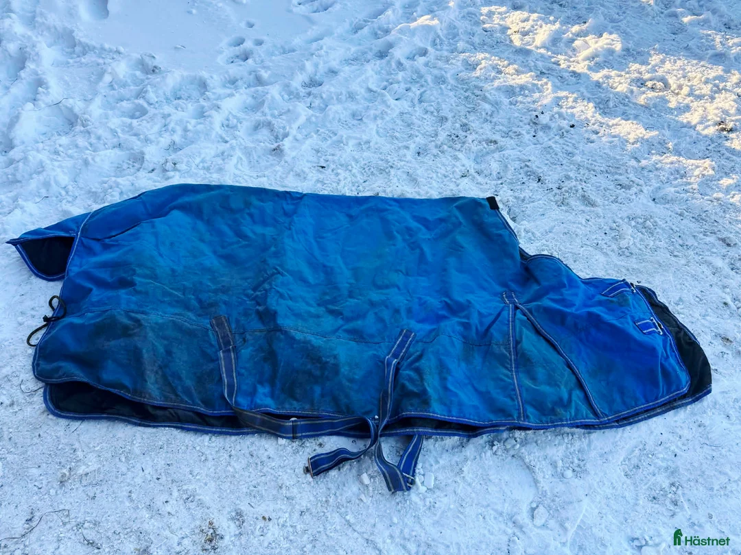 Täcken hästutrustning till salu: Utetäcke 50 gram i strl 155 - Annons 2