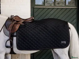 Täcken hästutrustning Kentucky ländtäcke i Haninge - Annons 16