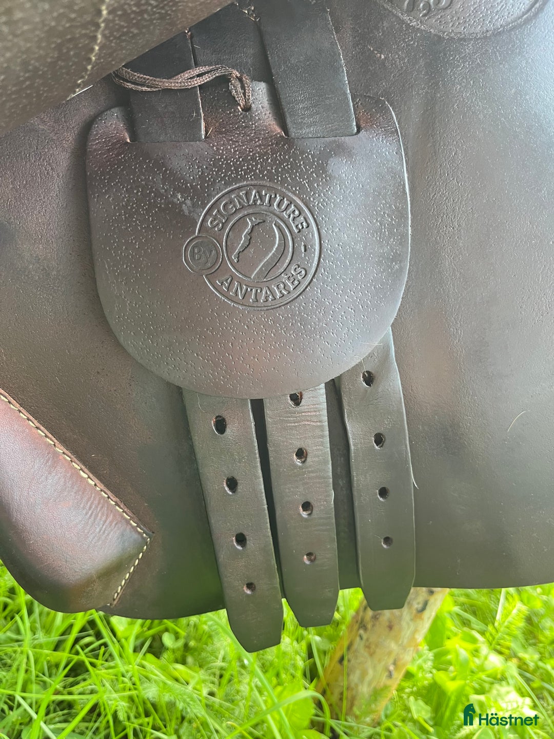 Sadlar hästutrustning till salu: Byte/säljes antares signature  i Sollentuna - Annons 3