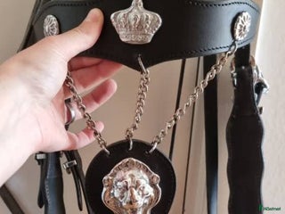 Träns hästutrustning till salu: Akademisk träns med tillhörande halsring i Björkvik - Annons 4