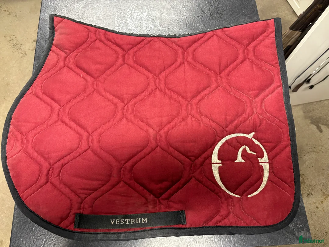 Schabrak & Vojlockar hästutrustning till salu: Stilrena och bekväma hästschabrak  - Annons 1