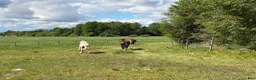  stallplats finnes: Lösdrift i Almunge - Annons 6