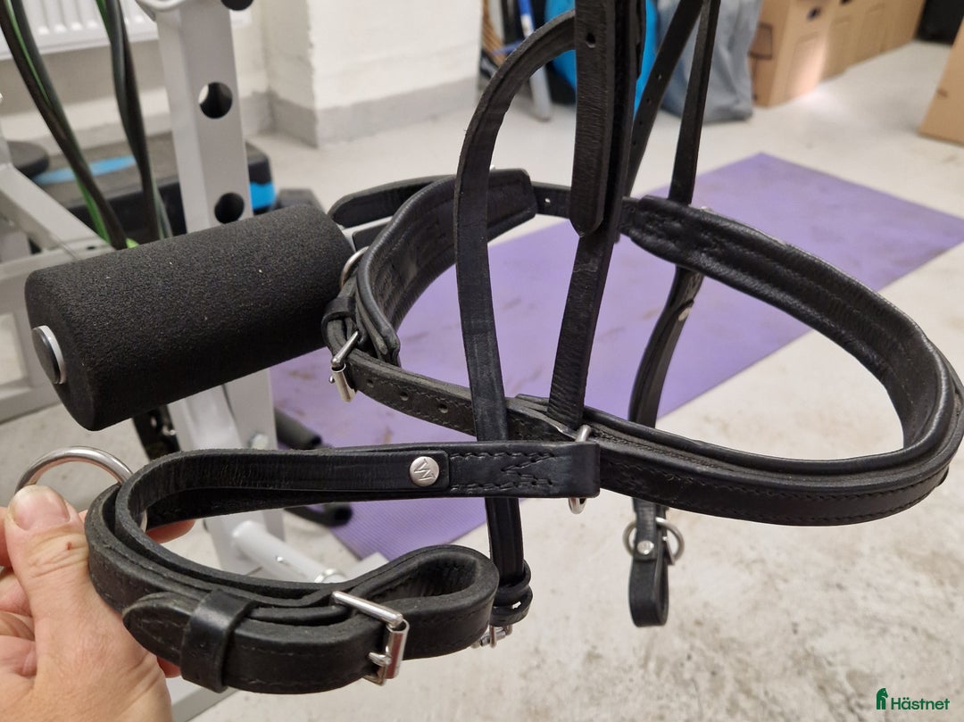 Travsulkys trav till salu: Sulky & Whalstens premium balans kör grimma  i Lit - Annons 5