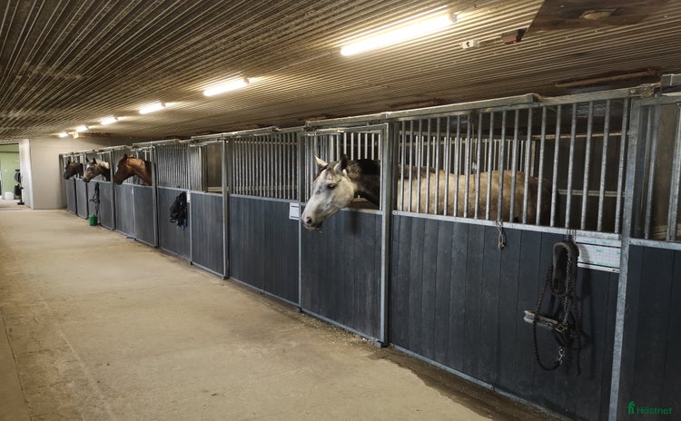  stallplats i Kungsbacka - Annons 15