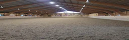  stallplats finnes: Tillfälle! Boxplats ledig på TuthammarensRidcenter - Annons 1