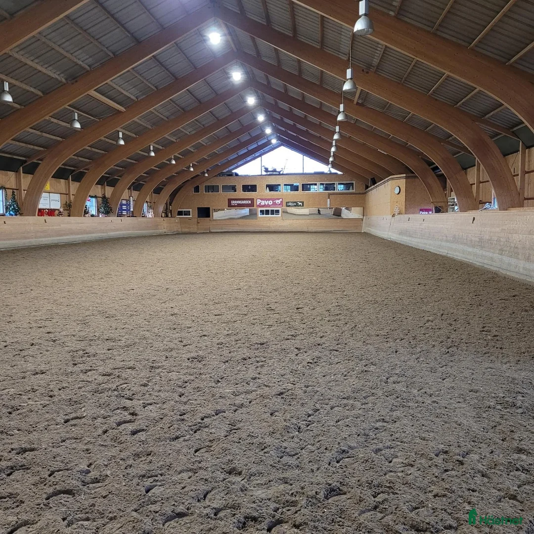  stallplats finnes: Tillfälle! Boxplats ledig på TuthammarensRidcenter - Annons 1
