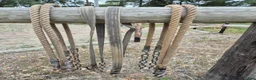 Övrig Körutrustning körning till salu: Draglinor - Annons 1